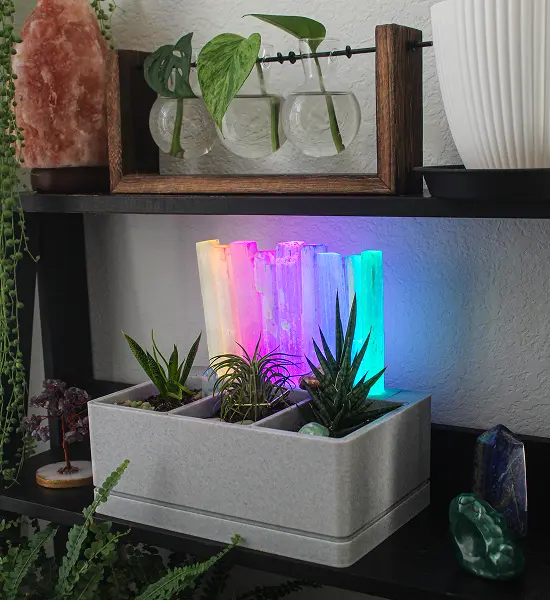 Crystal Garden image