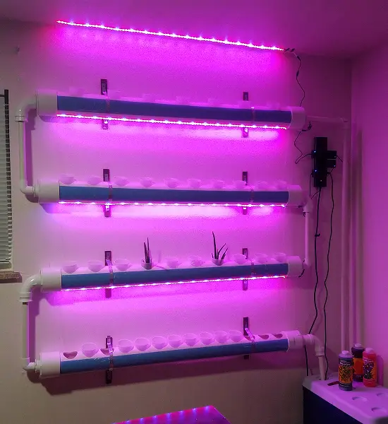 Hydroponics image